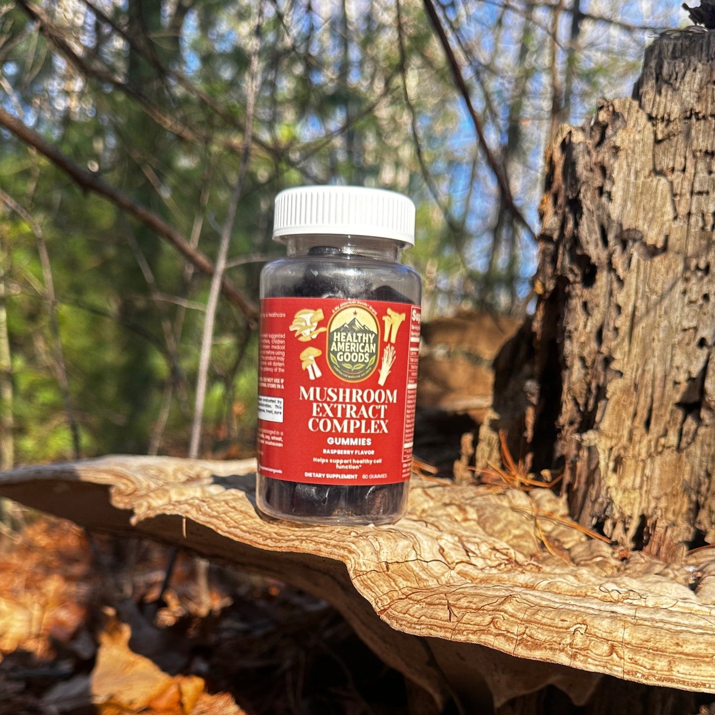 Mushroom Extract Complex