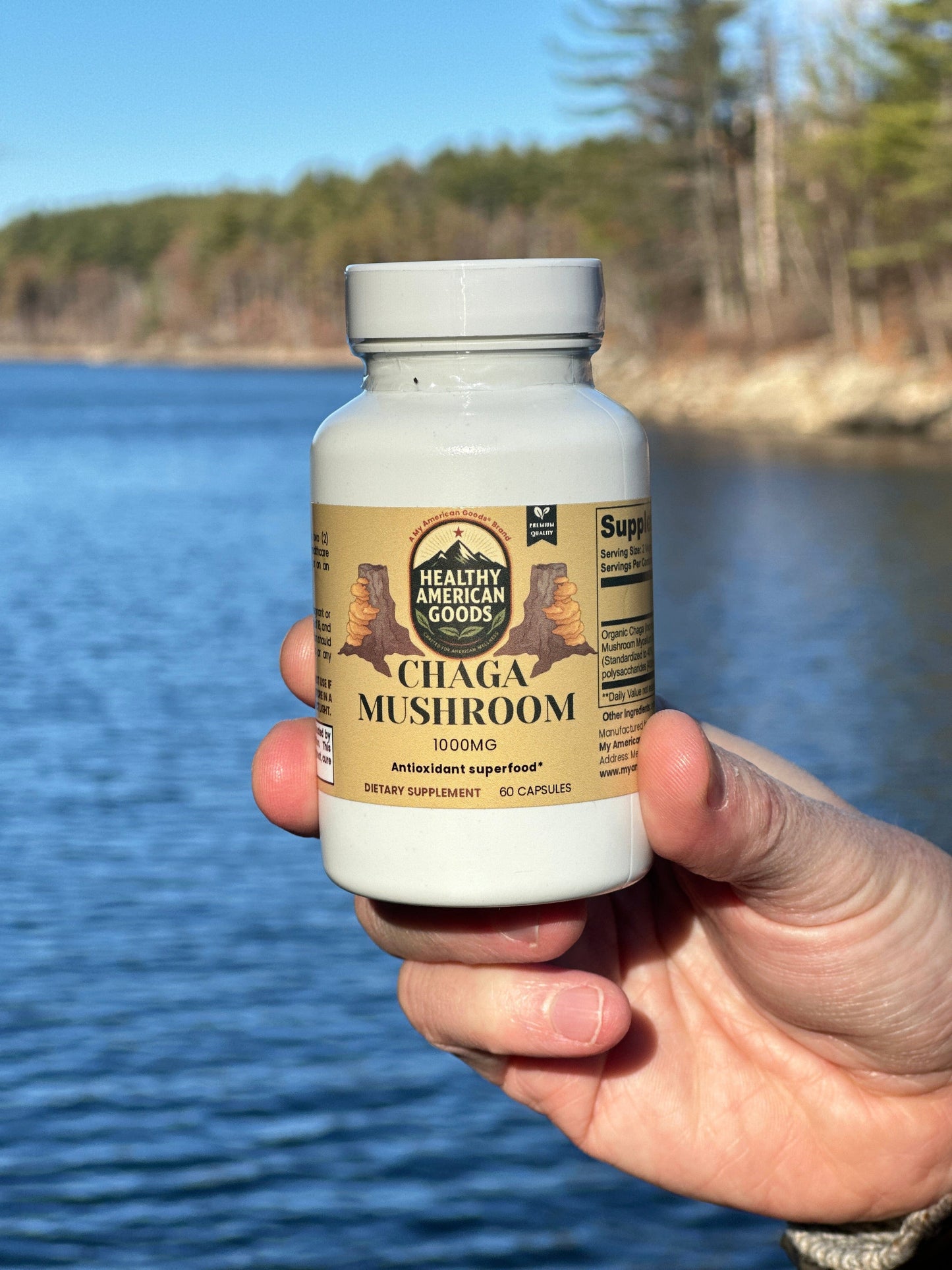 Chaga Mushroom