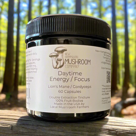 Daytime Energy & Focus Capsules – Lions Mane & Cordyceps