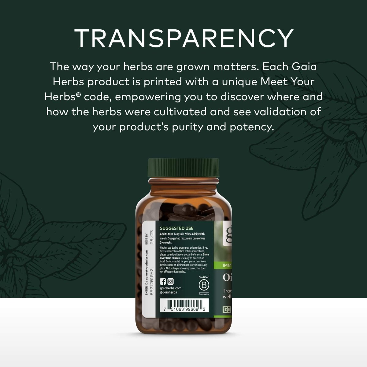 Gaia Herbs Oil of Oregano Vegan Liquid Capsules - 120 Count